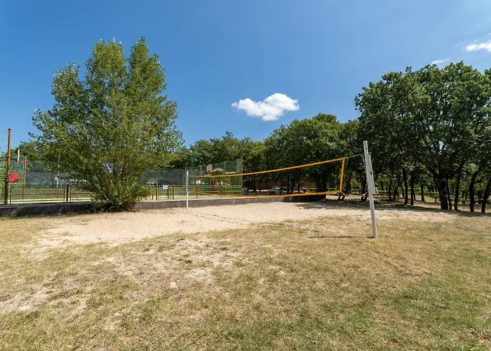 Camping Les Reflets Du Quercy * Crayssac